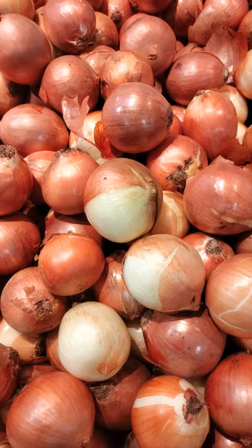 Padaria