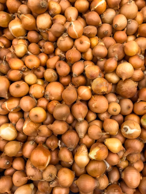 Destaques em Hortifruti